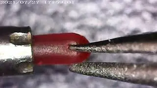 Up close with a felt tip pen