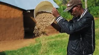 Making markets work for indigenous vegetables