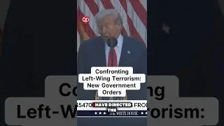 Uncovering the Dark Networks of Left-Wing Terrorism!
