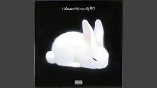 雪兔