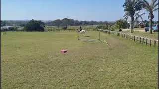 I trotted over the jump twice