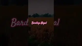 Village Nepal !! Crop #fypシ #stories #travel #village #treanding #goviral #nepal#shorts #bardiya