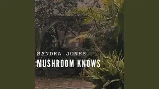 Mushroom knows