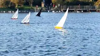 Eastbourne & District Model Yacht Club. Internal One Meter IOM Guy Fawkes Trophy Race 21. 2/11/2025