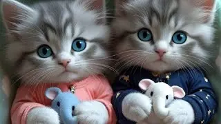 CUTE AI CAT PICTURES ❤️🥰 AI CAT VIDEO 💗 BABY CAT DPZ 💖 CUTE KITTEN IMAGES💞 #cattales #catfunny