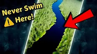 Finniss river Australia | dangerous black water river in Australia |#finnissriver #Australiariver