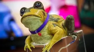 Real-Life Futurama Hypnotoad Animatronic!