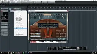 Expression CC controller problem in CUBASE for SWAM Engine ( SOLVED )