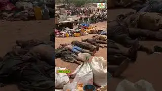 Incroyable prouesse de force arm&eacute;e malienne &agrave; Kayes 💪🏾🇲🇱 #aes #mali #africa #afrique
