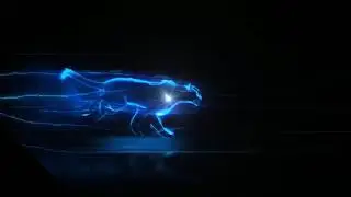 TIGER RUNNING EFFECT FULL FOOTAGE WITH SONG