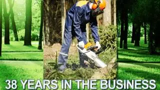 Lot Clearing | St. Pau, MN - Timberline Tree Service