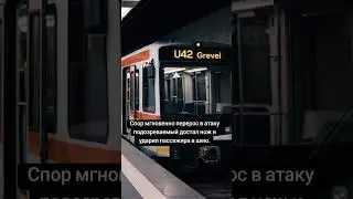 Замечание в метро Дортмунда закончилось нападением. Нападавший скрылся. #германия #новостигермании