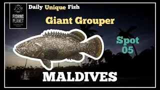 GIANT GROUPER - MEROU GEANT - spot 05 - MALDIVES #fishingplanet #fishermangamer