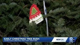 Christmas tree farms in Hartford experience early sales surge