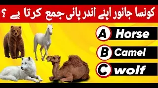 General knowledge quiz | konsa janwar apne andar pani jama karta he