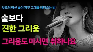 눈물 섞인 첫 잔이 오늘따라 더 쓴 이별🌧️그리움도 마시면 취하나요 ㅣ최신트로트ㅣ트로트발라드ㅣ감성트로트ㅣ7080트로트ㅣ뽕짝ㅣ트로트명곡
