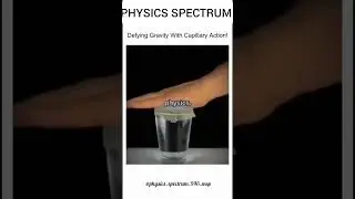 Watch water climb against gravity||Capillary Action explained in 30s||