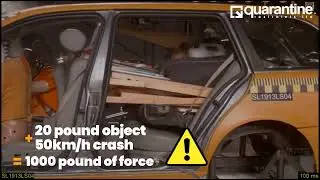 Quarantine Restraints - Crash Protection Cargo Net