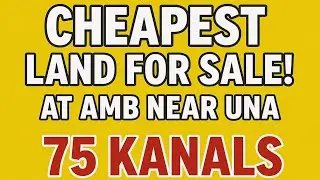 Very Cheap Land for sale at Amb near Una #lease #travel #manali #realestate #manalihotel #property