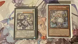 Yu-Gi-Oh! White Forest Azamina Deck Profile February 2025! (No Toy, no FS)