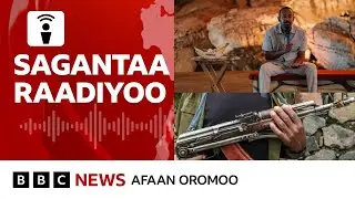 Hidhattoonni  Faannoo Noonnootti namoota  20 ol ajjeesuu | BBC News Afaan Oromoo