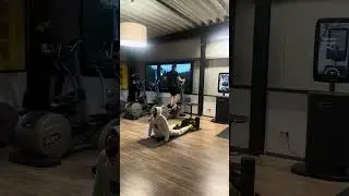 Mobility Upper Body by Matt Ogus