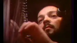 Pinkpop   The Vintage Years 1975 / 1979