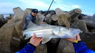 ROBALOS en ESCOLLERA // La CLAVE del EXITO en la  PESCA // PESCA DE ORILLA