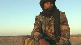 Niger Rebellion