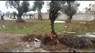 Syrian Humanitary Forum ( al gutta Ost Jan.2015 )