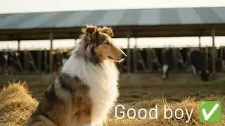 Some things on the farm just make sense