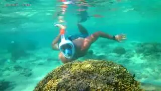 Randonnée aquatique, snorkeling : Lagon de l'Hermitage, Réunion