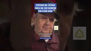 #vietnamveteran #greys #alieni #grigi #aliens #et #ets #extraterrestre #closeencounters #alieno