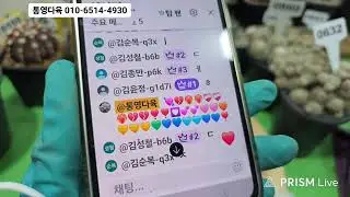 통영다육 010-6514-4930