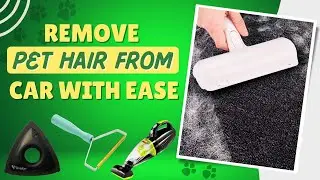 Best Pet Hair Remover For Car - Remove Pet Hair From Car Easily