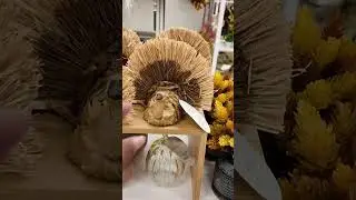 Fall in love with Target&rsquo;s fall home decor #targetfinds #falldecor #target