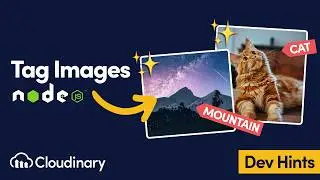 Add Tags to an Existing Image in Node.js with Cloudinary - Dev Hints