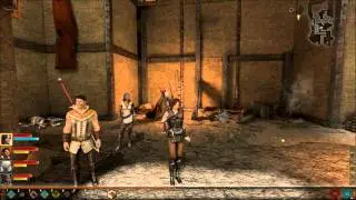 Dragon Age II - Wounded Coast - Sarcastic Hawke