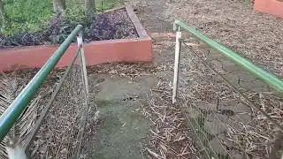 9 minutos no Parque