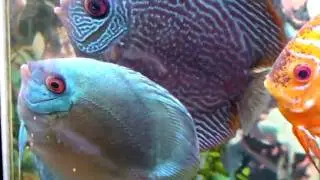 MOV02087