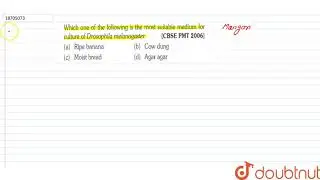 Which one of the followingt is the most suitable medium for culture of Drosophila melanogaster |...