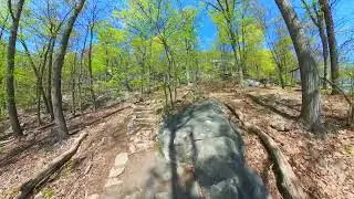 Spring mountain forest walk | Relaxing hike, birds chirping | Bear Mountain, NY