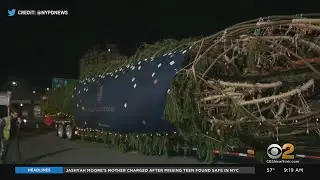 Rockefeller Center Christmas Tree Arrives In NYC