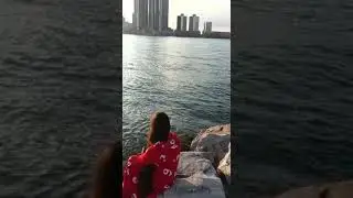 Detroit River View # U.S - Canada border
