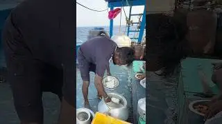 Giant Squid Feast on the High Seas&rdquo;