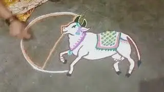 கானும் பொங்கல் ரங்கோலி கலர் கோலம் Bull Pongal Rangoli Color Kolam#mattupongal#sankaranthi #muggulu