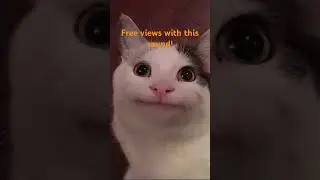 Free Views?
