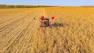 China's 2023 Two Sessions: High-standard cropland expanded by 30.4 million hectares