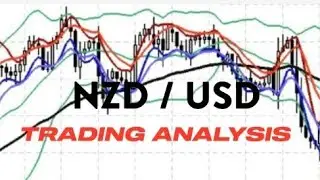 trading analysis NZD /USD #forex #bbmaomaally #forexstrategy #forexanalisis #forextoday