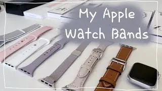Apple Watch SE Band Collection + Organizer!